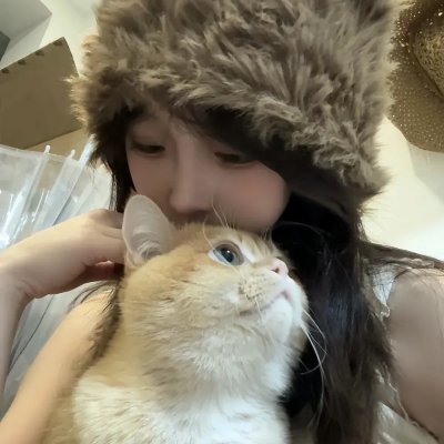银狐